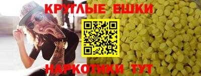 спиды Славгород