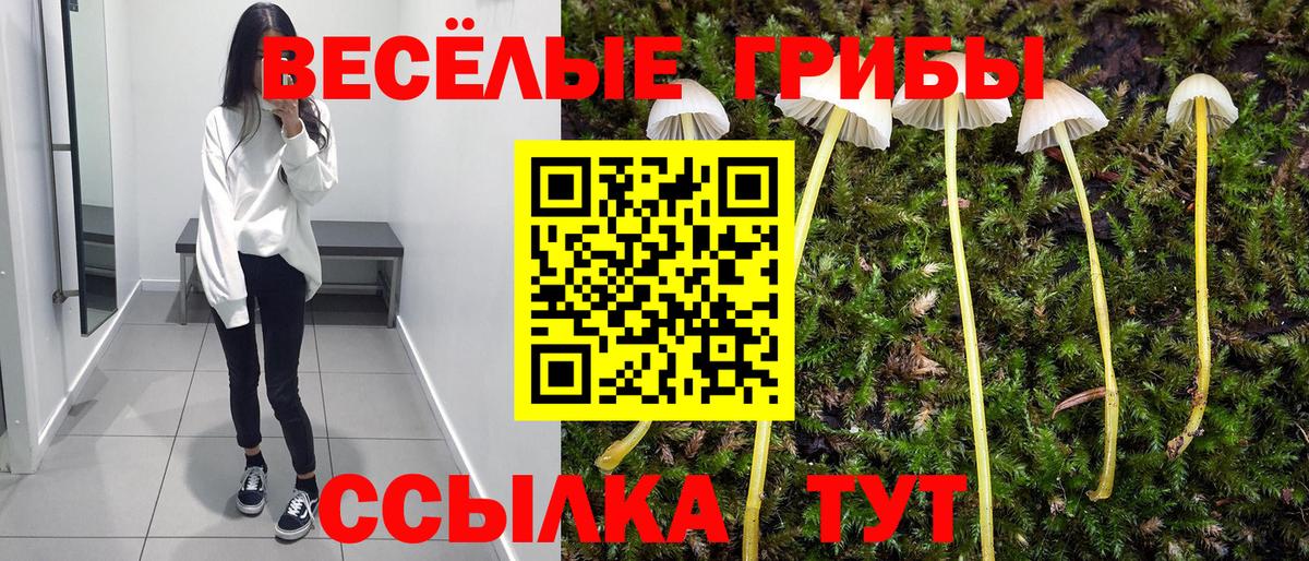 Псилоцибиновые грибы мухоморы  Вход с VPN  Саров 