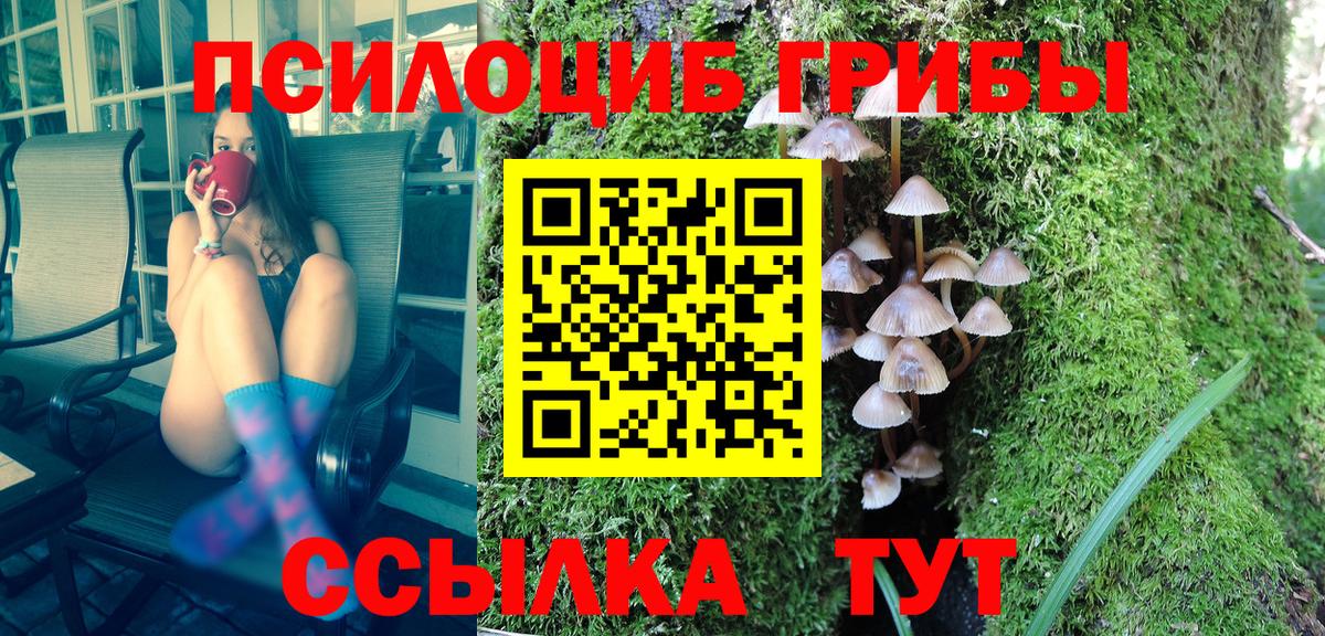 Псилоцибиновые грибы мухоморы Саров